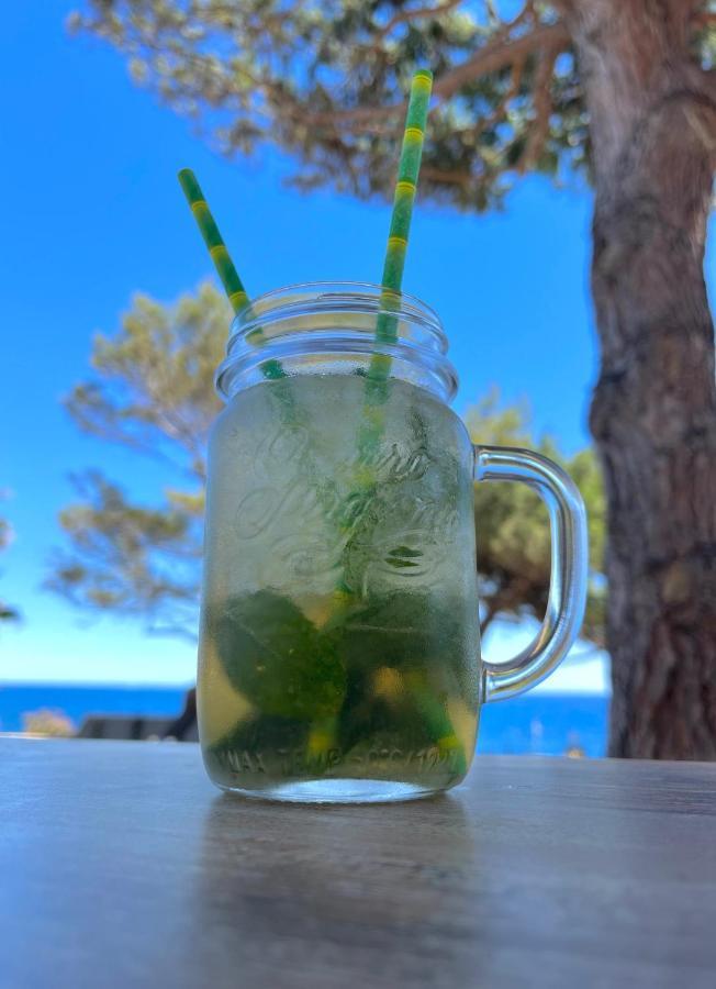 Villa Les Glycines Les Issambres Dış mekan fotoğraf